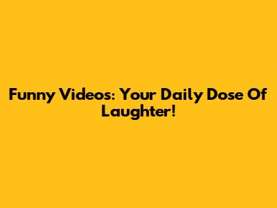 Funny Videos: Your Daily Dose Of Laughter!