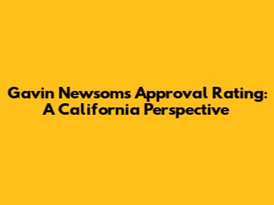 Gavin Newsom's Approval Rating: A California Perspective
