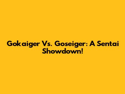 Gokaiger Vs. Goseiger: A Sentai Showdown!