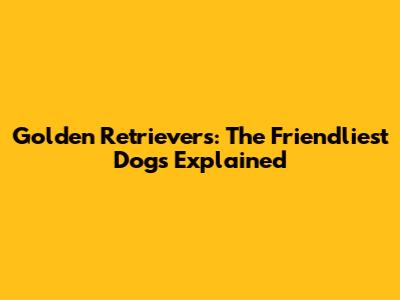 Golden Retrievers: The Friendliest Dogs Explained