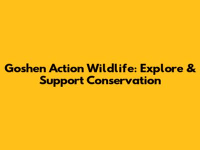 Goshen Action Wildlife: Explore & Support Conservation