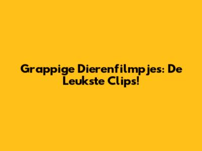 Grappige Dierenfilmpjes: De Leukste Clips!