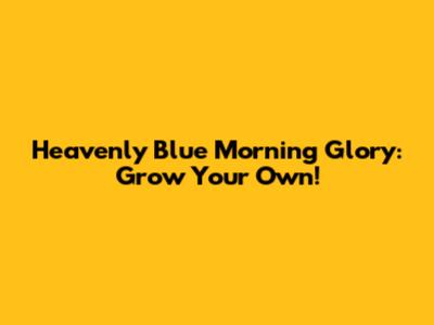 Heavenly Blue Morning Glory: Grow Your Own!