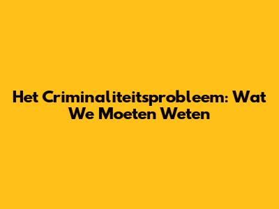 Het Criminaliteitsprobleem: Wat We Moeten Weten