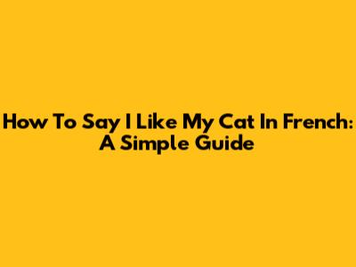 How To Say 'I Like My Cat' In French: A Simple Guide