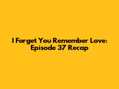 I Forget You Remember Love: Episode 37 Recap