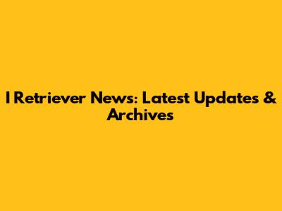 I Retriever News: Latest Updates & Archives