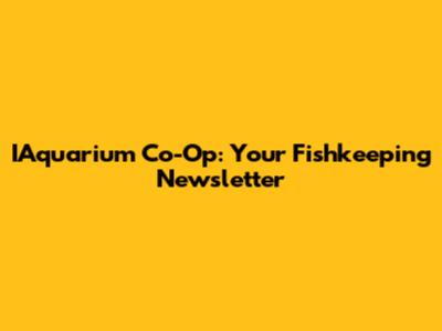 IAquarium Co-Op: Your Fishkeeping Newsletter