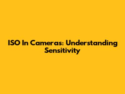 ISO In Cameras: Understanding Sensitivity