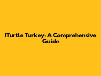 ITurtle Turkey: A Comprehensive Guide