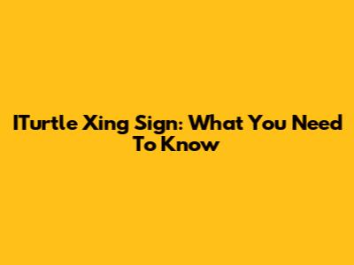 ITurtle Xing Sign: What You Need To Know