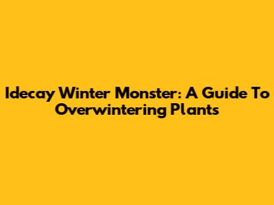 Idecay Winter Monster: A Guide To Overwintering Plants