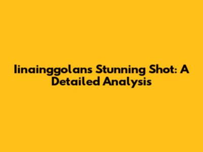 Iinainggolan's Stunning Shot: A Detailed Analysis