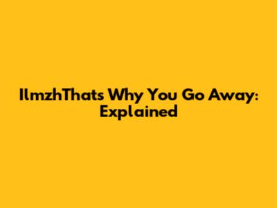 IlmzhThat's Why You Go Away: Explained