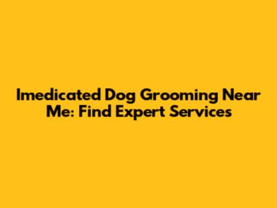 Imedicated Dog Grooming Near Me: Find Expert Services