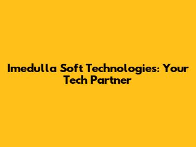Imedulla Soft Technologies: Your Tech Partner