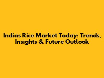 India's Rice Market Today: Trends, Insights & Future Outlook