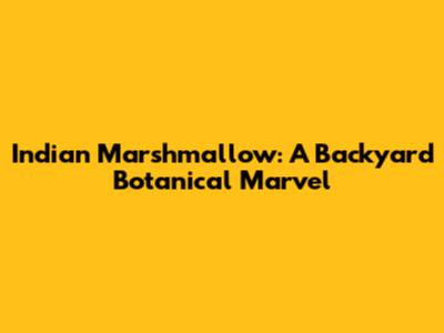 Indian Marshmallow: A Backyard Botanical Marvel