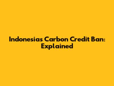 Indonesia's Carbon Credit Ban: Explained