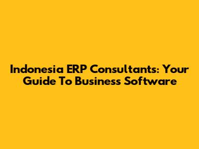 Indonesia ERP Consultants: Your Guide To Business Software
