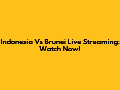 Indonesia Vs Brunei Live Streaming: Watch Now!