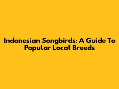 Indonesian Songbirds: A Guide To Popular Local Breeds