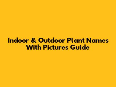 Indoor & Outdoor Plant Names With Pictures Guide