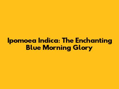 Ipomoea Indica: The Enchanting Blue Morning Glory