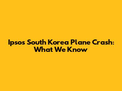Ipsos South Korea Plane Crash: What We Know