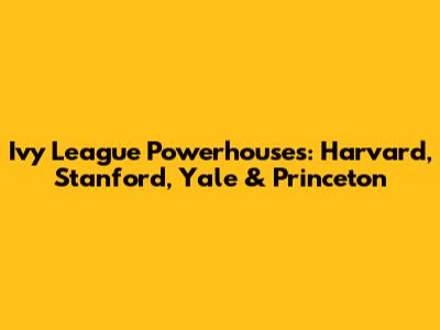 Ivy League Powerhouses: Harvard, Stanford, Yale & Princeton