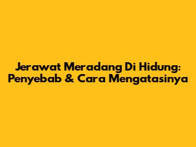Jerawat Meradang Di Hidung: Penyebab & Cara Mengatasinya