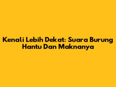 Kenali Lebih Dekat: Suara Burung Hantu Dan Maknanya
