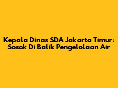 Kepala Dinas SDA Jakarta Timur: Sosok Di Balik Pengelolaan Air