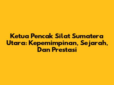 Ketua Pencak Silat Sumatera Utara: Kepemimpinan, Sejarah, Dan Prestasi