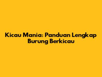 Kicau Mania: Panduan Lengkap Burung Berkicau