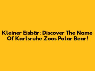 Kleiner Eisbär: Discover The Name Of Karlsruhe Zoo's Polar Bear!