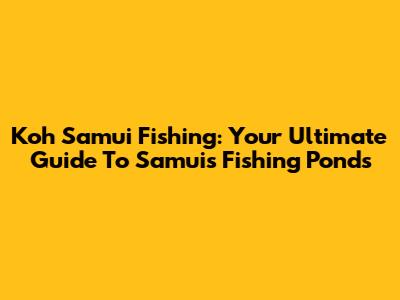 Koh Samui Fishing: Your Ultimate Guide To Samui's Fishing Ponds