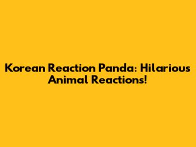 Korean Reaction Panda: Hilarious Animal Reactions!