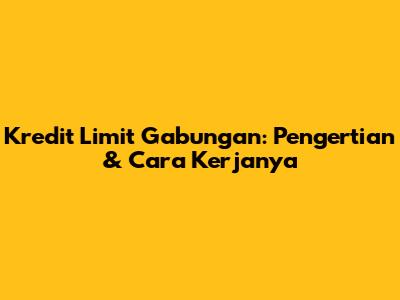 Kredit Limit Gabungan: Pengertian & Cara Kerjanya