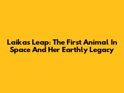 Laika's Leap: The First Animal In Space And Her Earthly Legacy