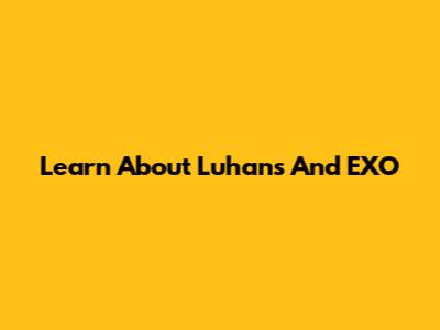 Learn About Luhans And EXO