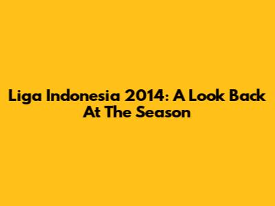 Liga Indonesia 2014: A Look Back At The Season