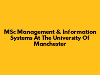 MSc Management & Information Systems At The University Of Manchester