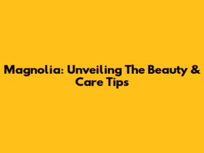 Magnolia: Unveiling The Beauty & Care Tips