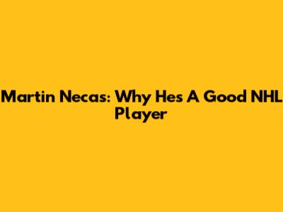 Martin Necas: Why He's A Good NHL Player