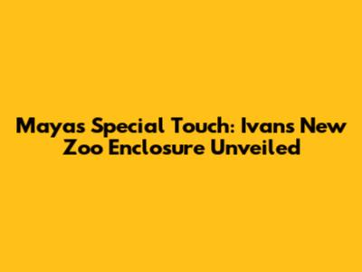 Maya's Special Touch: Ivan's New Zoo Enclosure Unveiled
