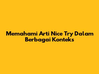 Memahami Arti 'Nice Try' Dalam Berbagai Konteks