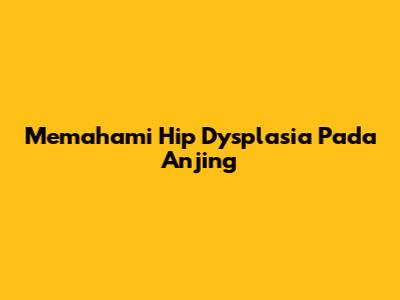 Memahami Hip Dysplasia Pada Anjing