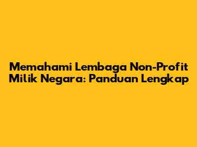 Memahami Lembaga Non-Profit Milik Negara: Panduan Lengkap