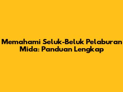 Memahami Seluk-Beluk Pelaburan Mida: Panduan Lengkap
